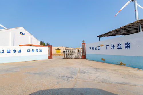 遼寧盤錦遼河經典啤酒,酒水飲料,食品餐飲,攝影素材,匯圖網